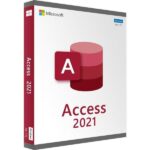 Microsoft Access Professional 2021