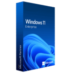 Windows 11 Enterprise (5pc)